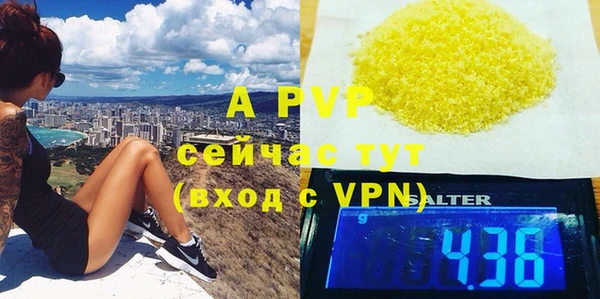 прущие грибы Богородск