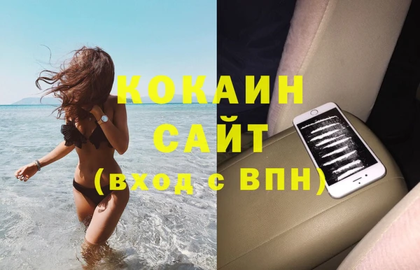 стаф Богданович