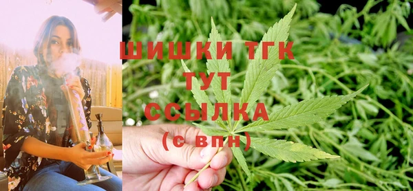 стаф Богданович